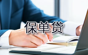 邵阳保单贷